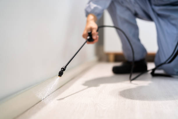 Licensed Fumigation Services service in Naugatuck Valley Planning Region County, CT - Nex Pest Control